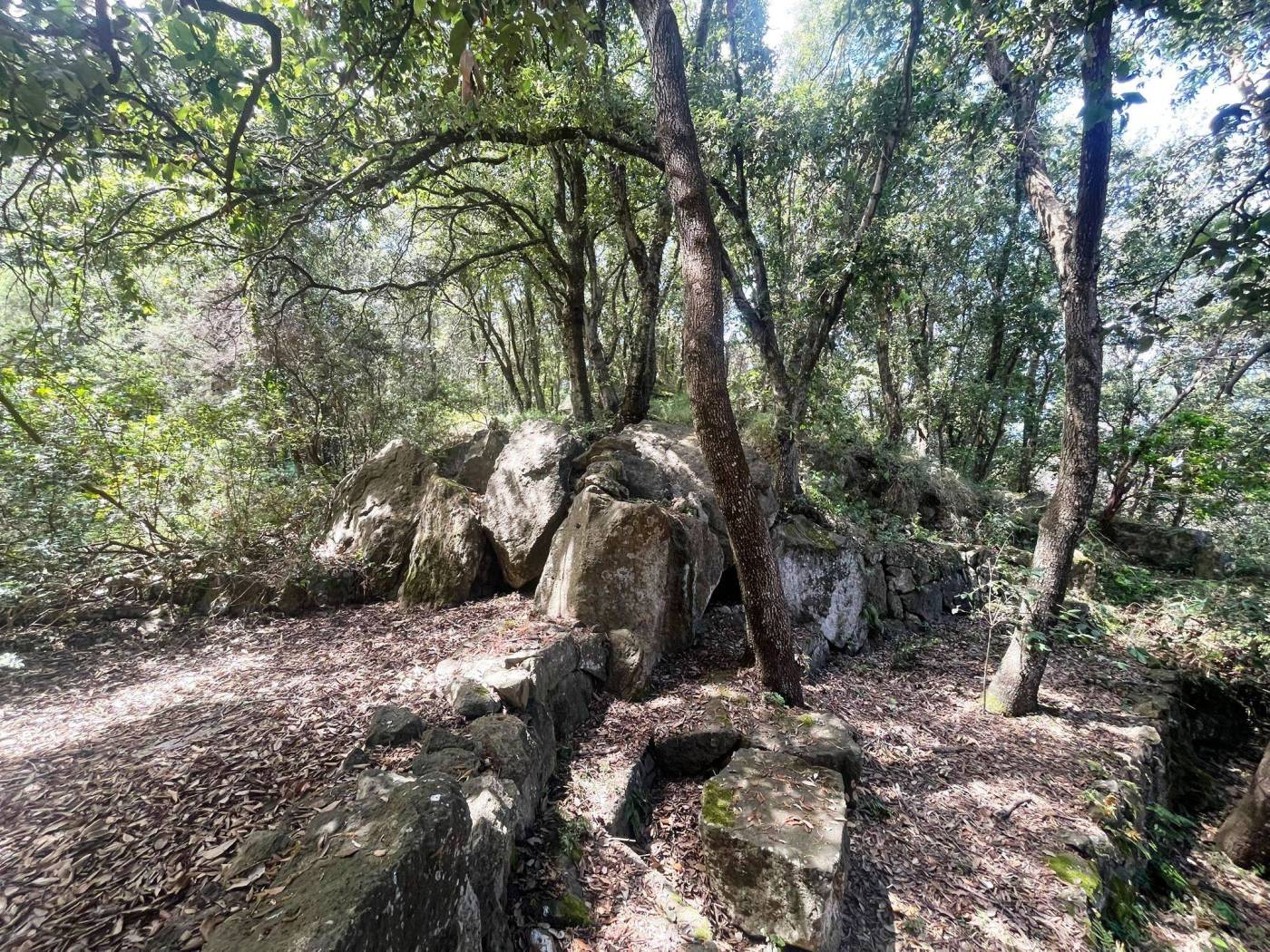 Terreno
