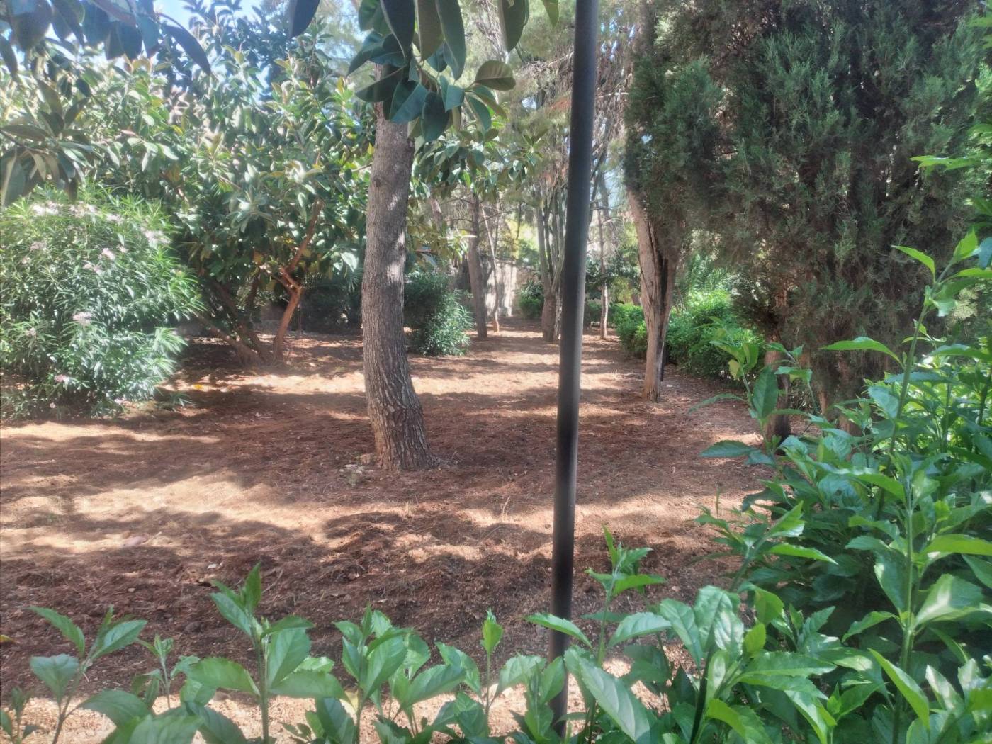 Terreno