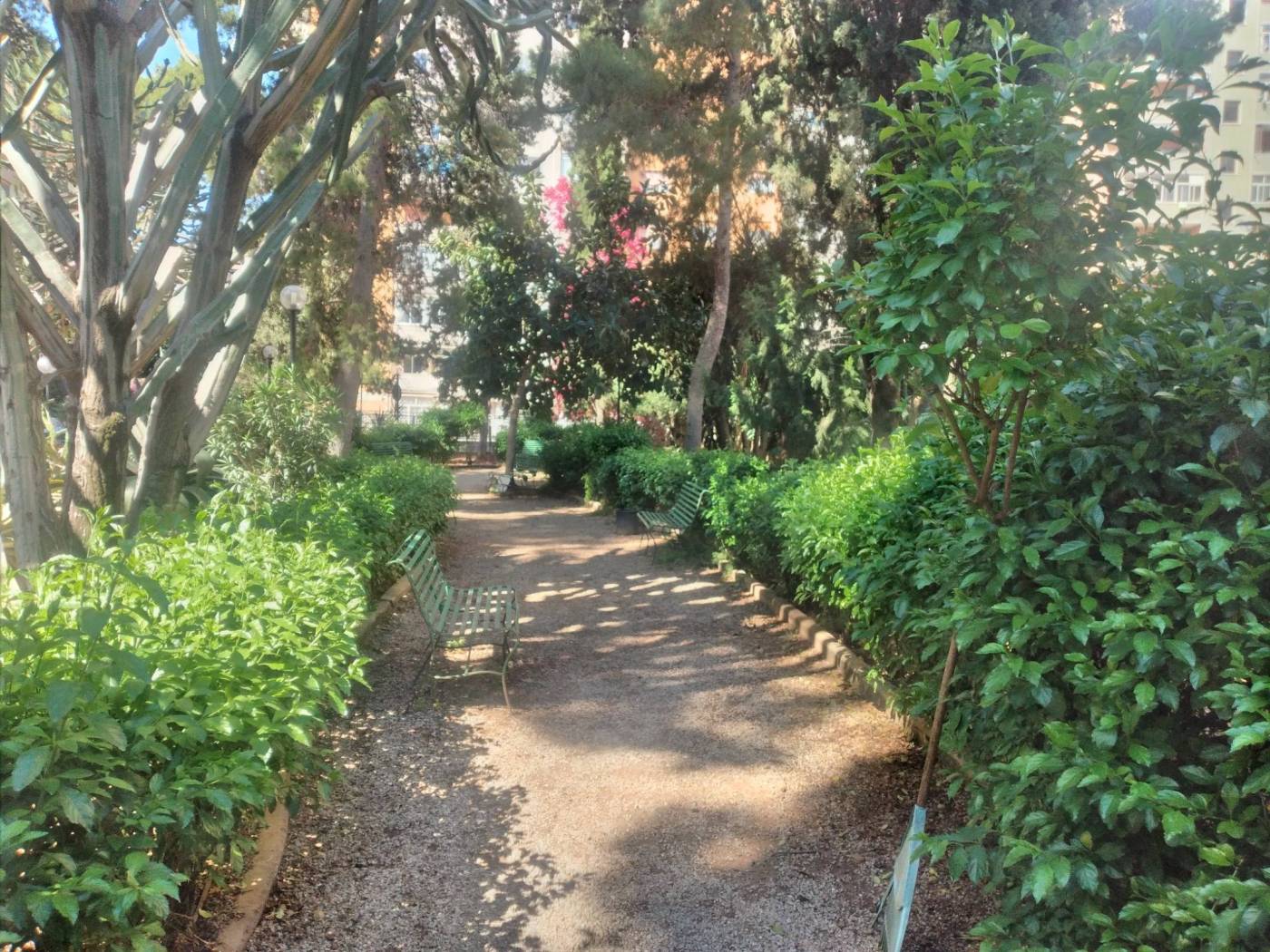 Giardino