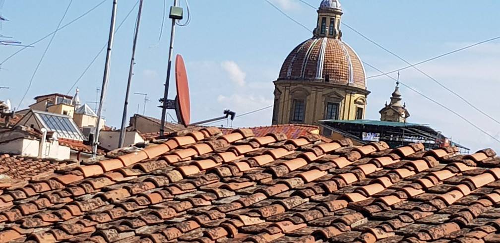 Vista