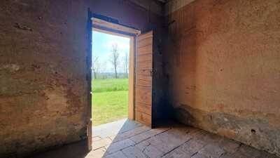 Ingresso