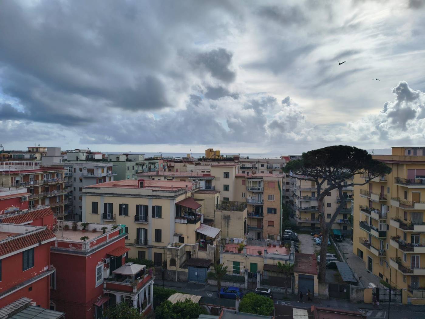 Vista