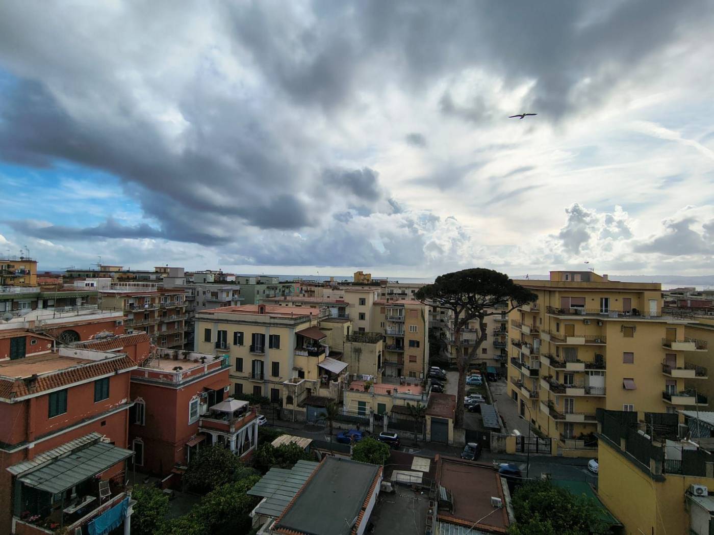 Vista