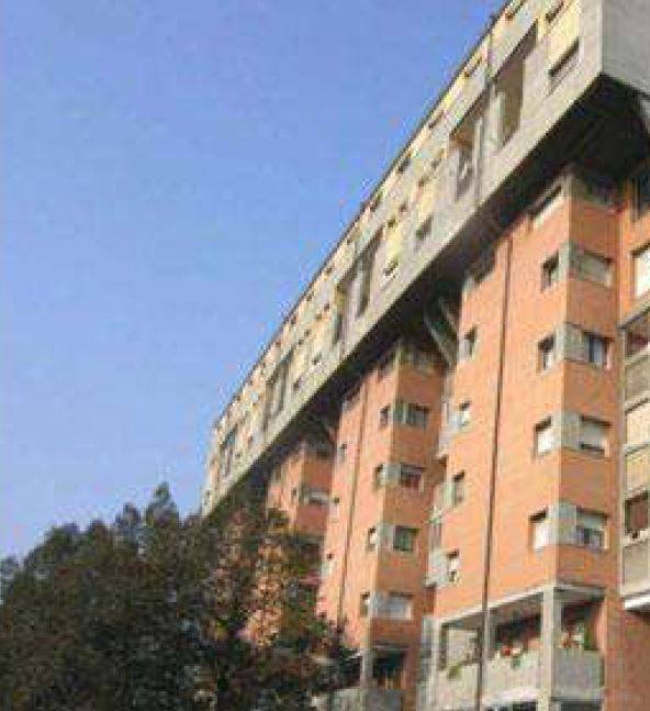Zona