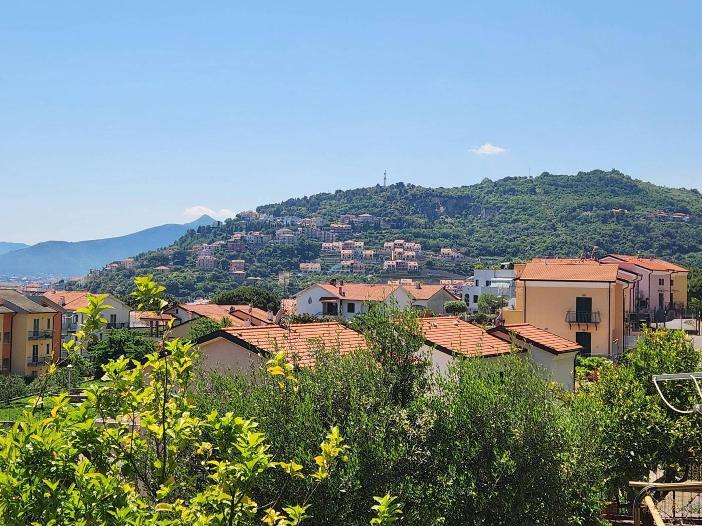 Vista