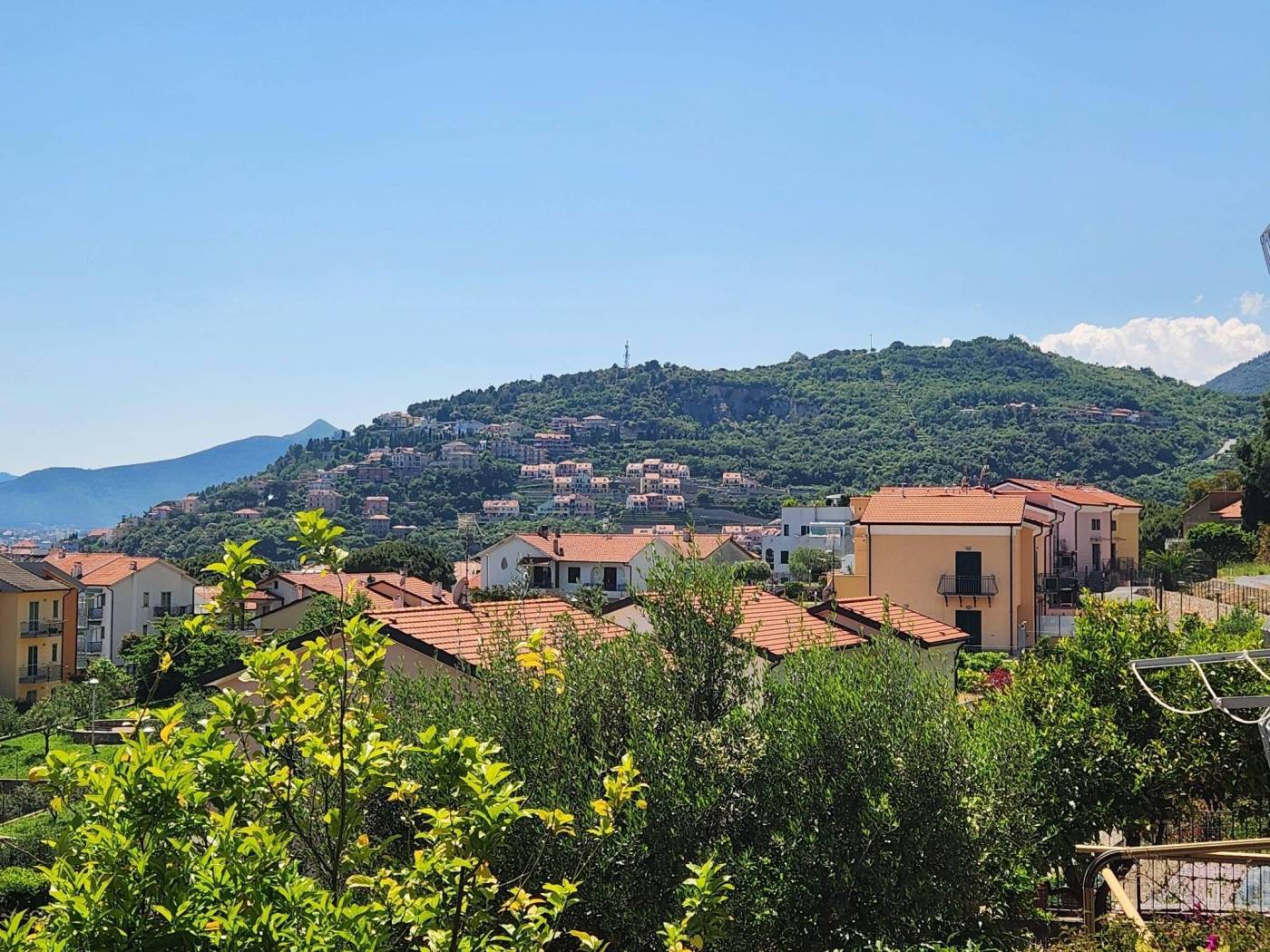 Vista