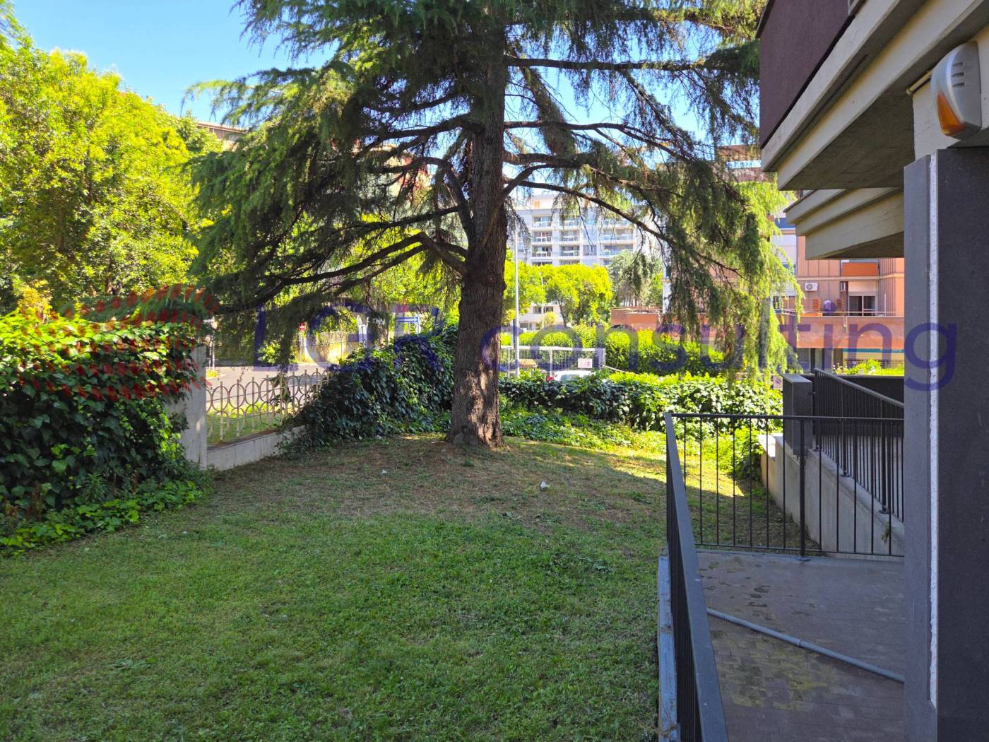 Giardino