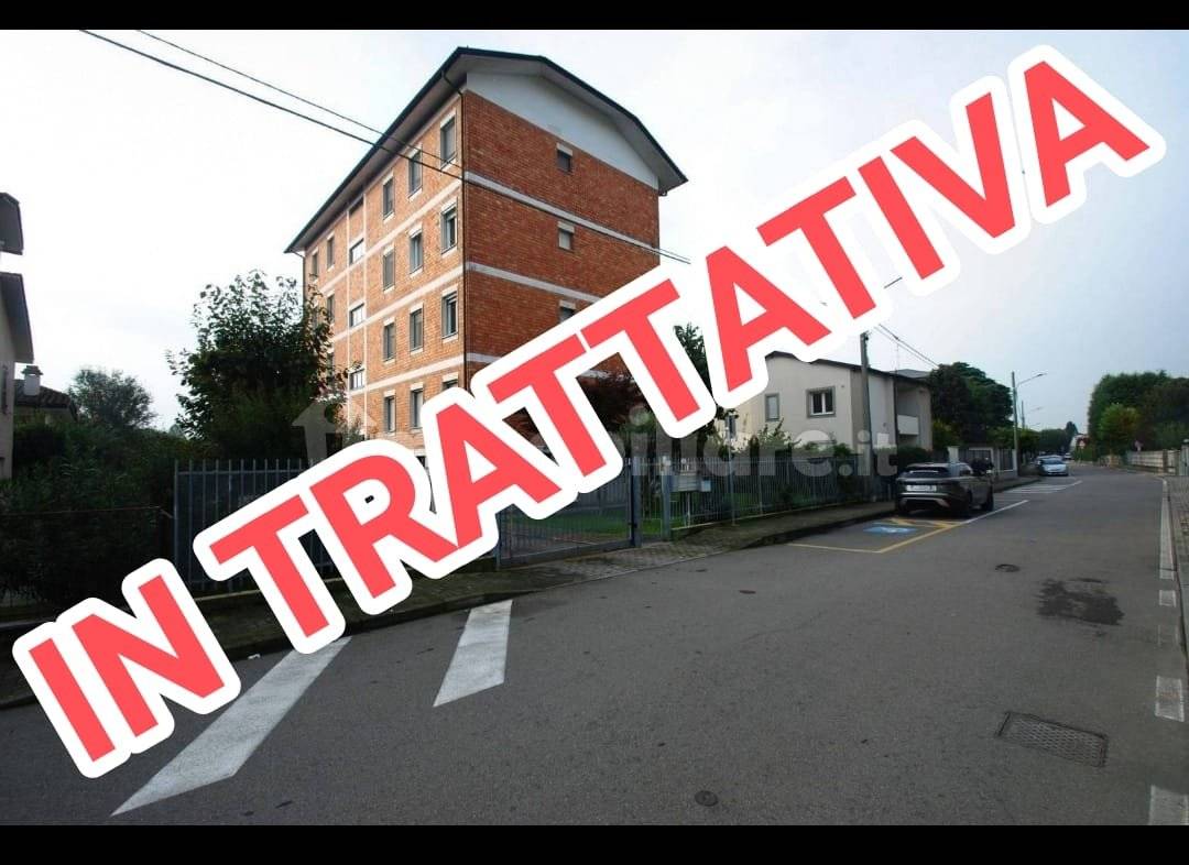 Zona