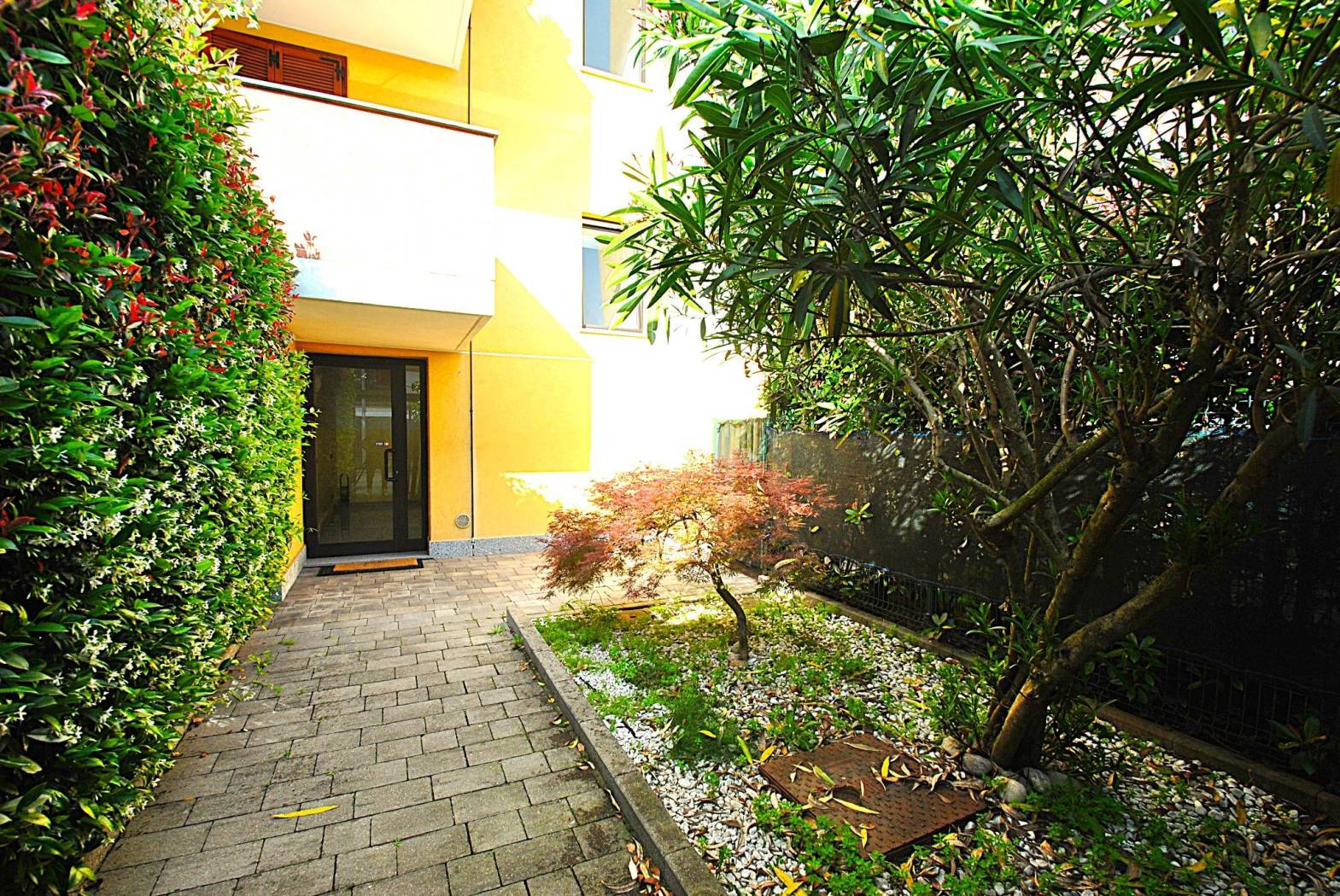Giardino