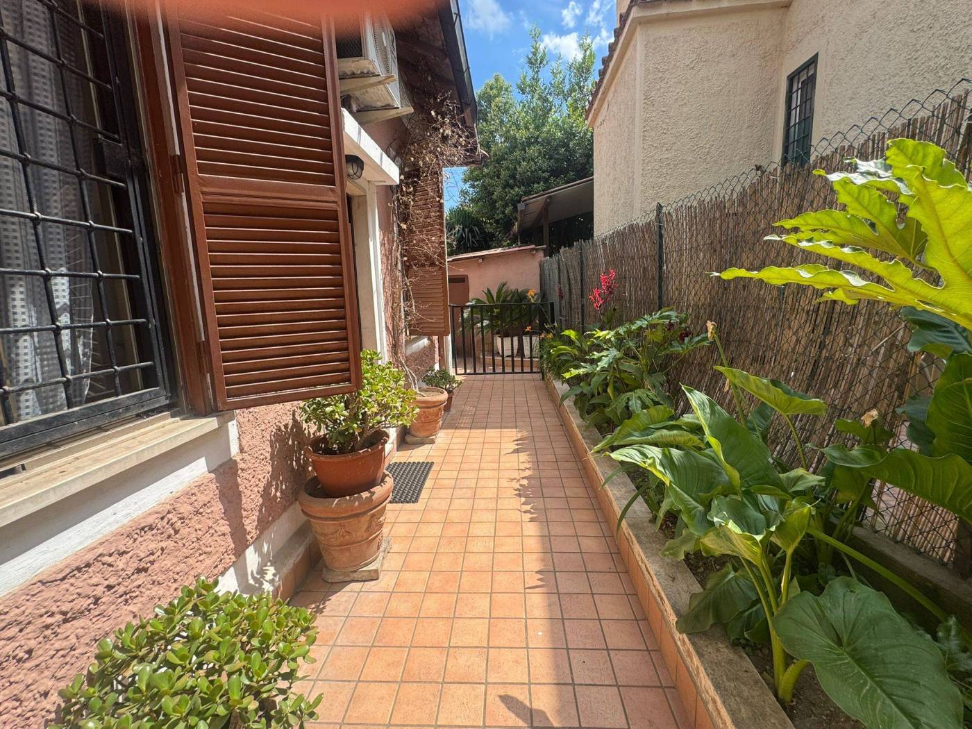 Giardino