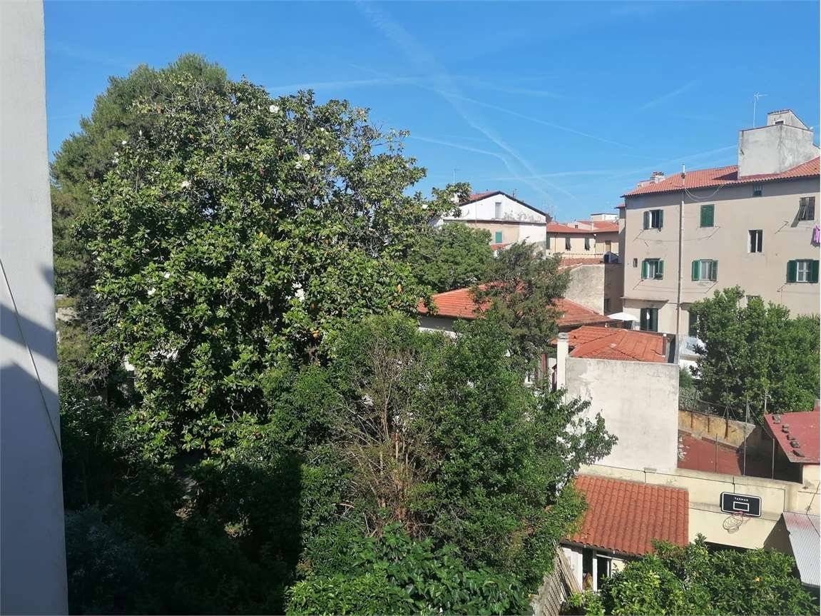 Vista
