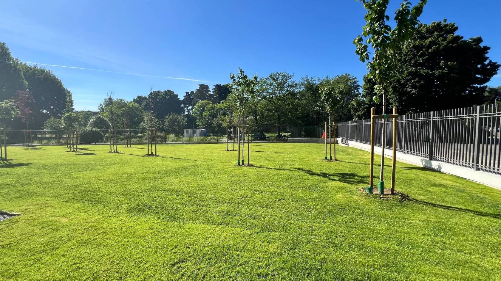 Giardino