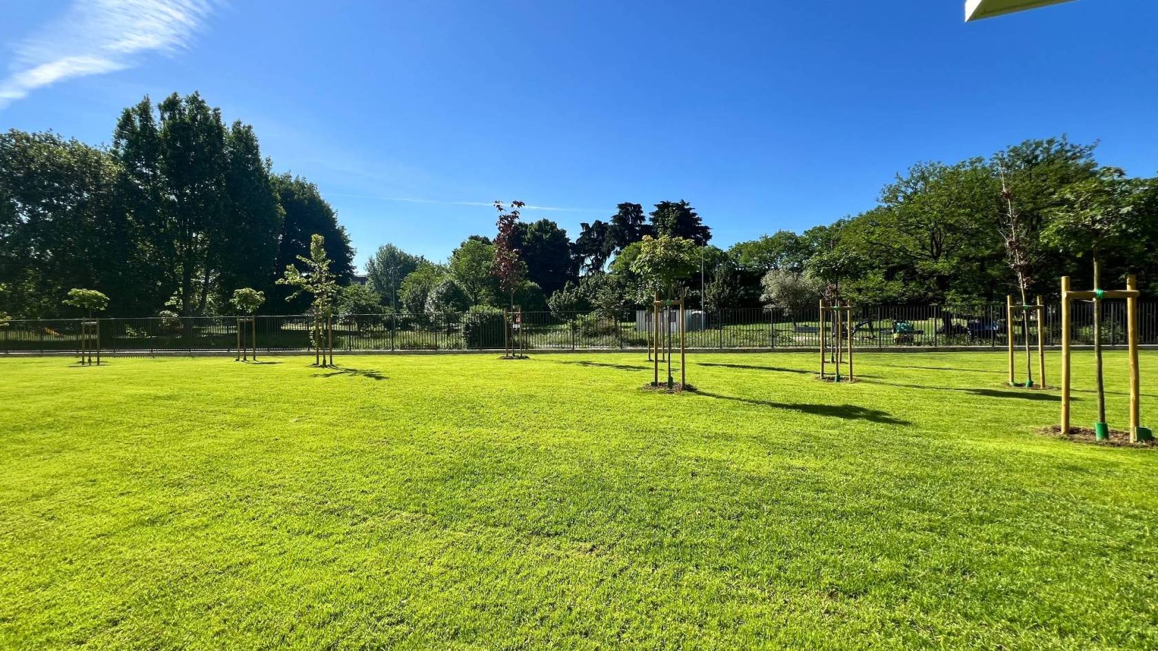 Giardino