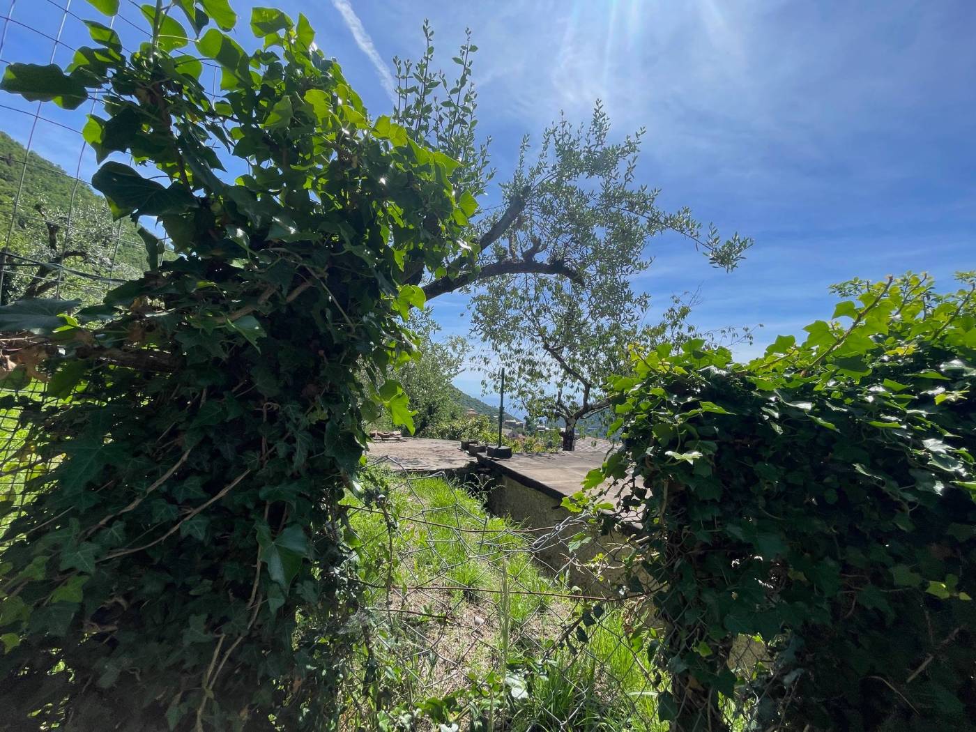 Terreno