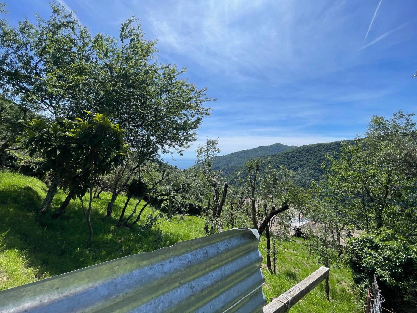Vista