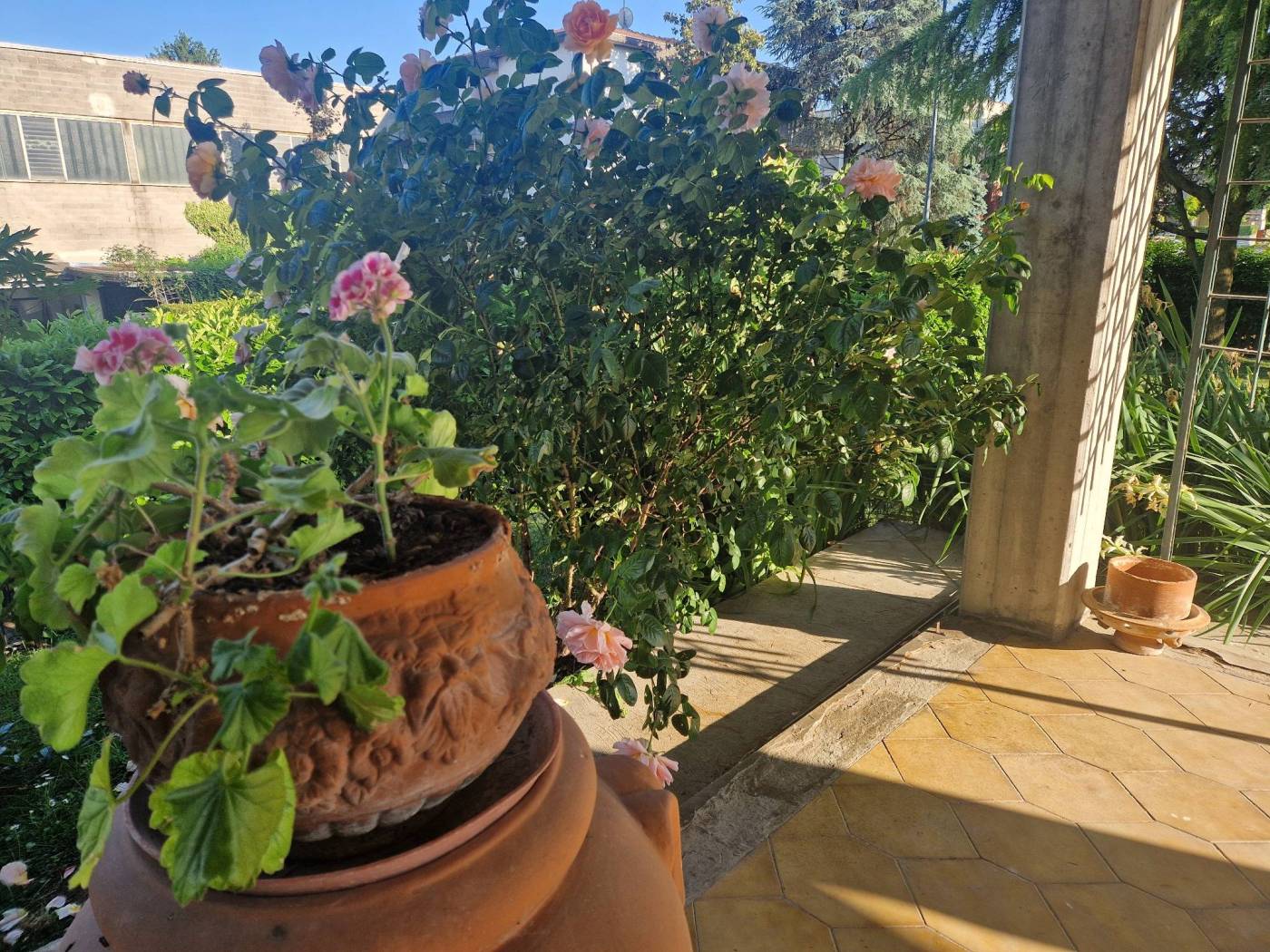 Giardino