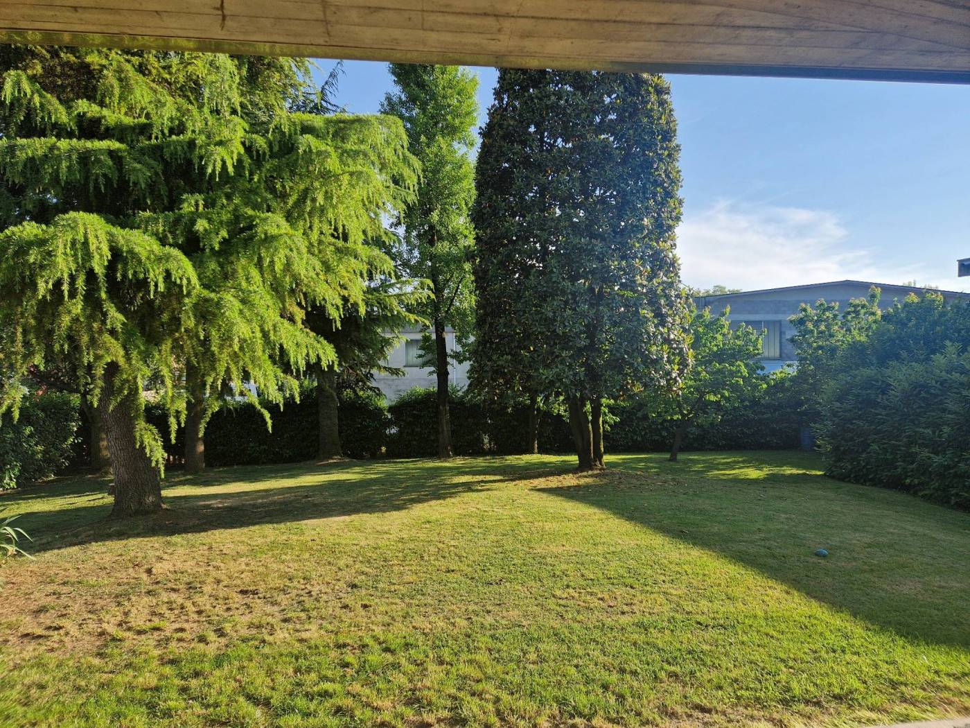 Giardino