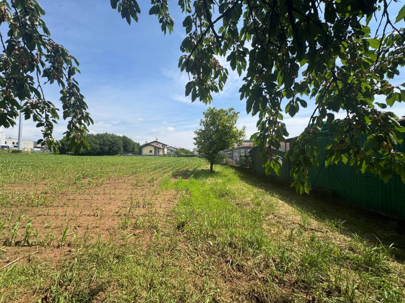 Terreno