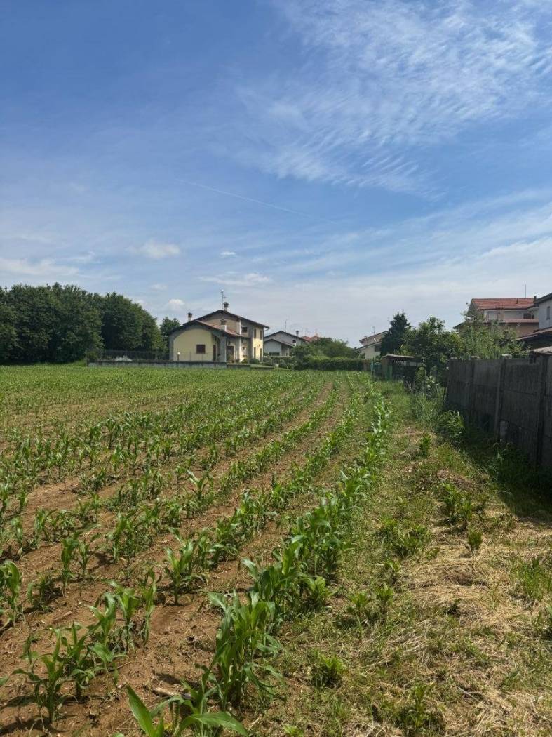 Terreno