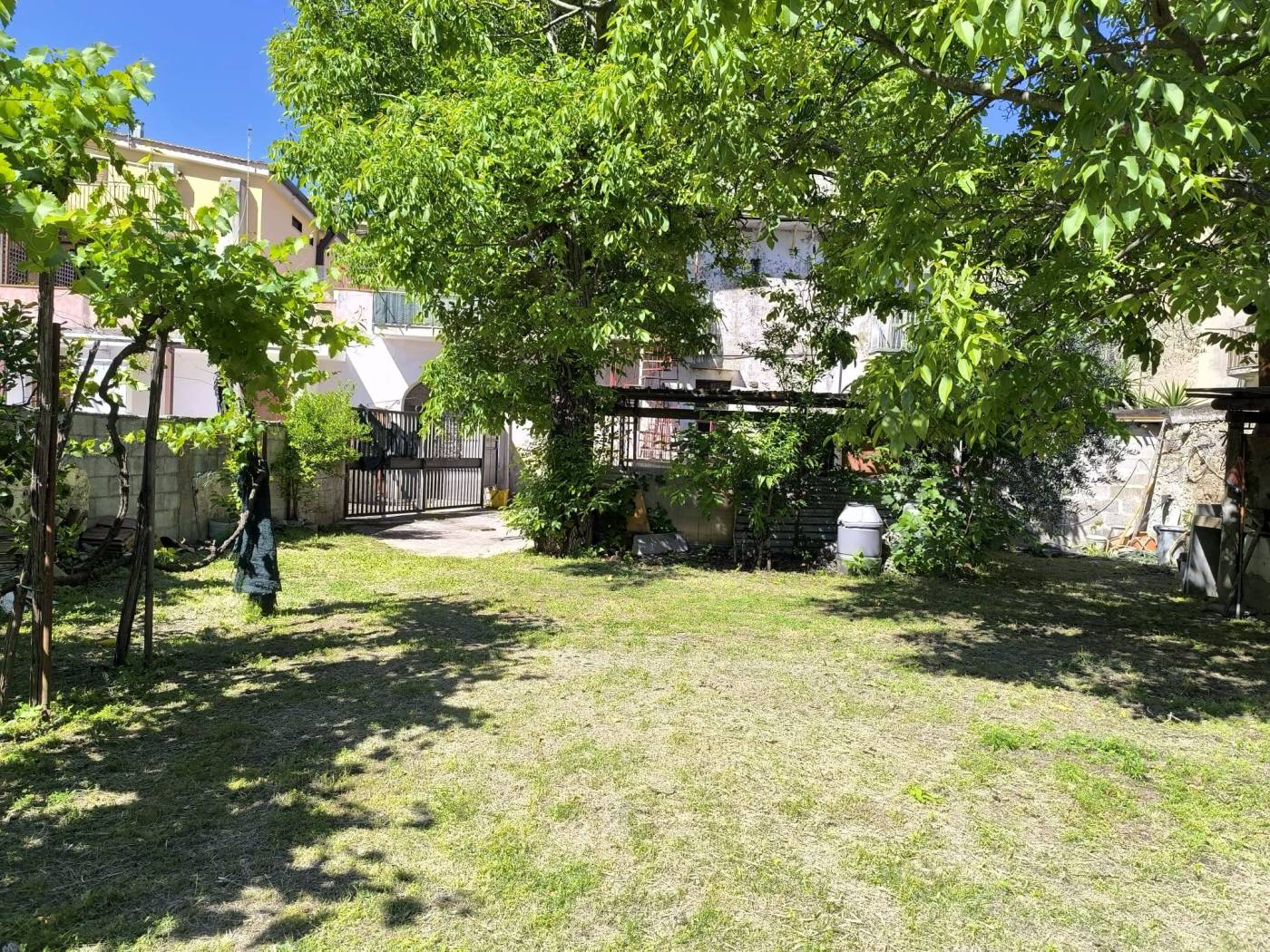 Giardino