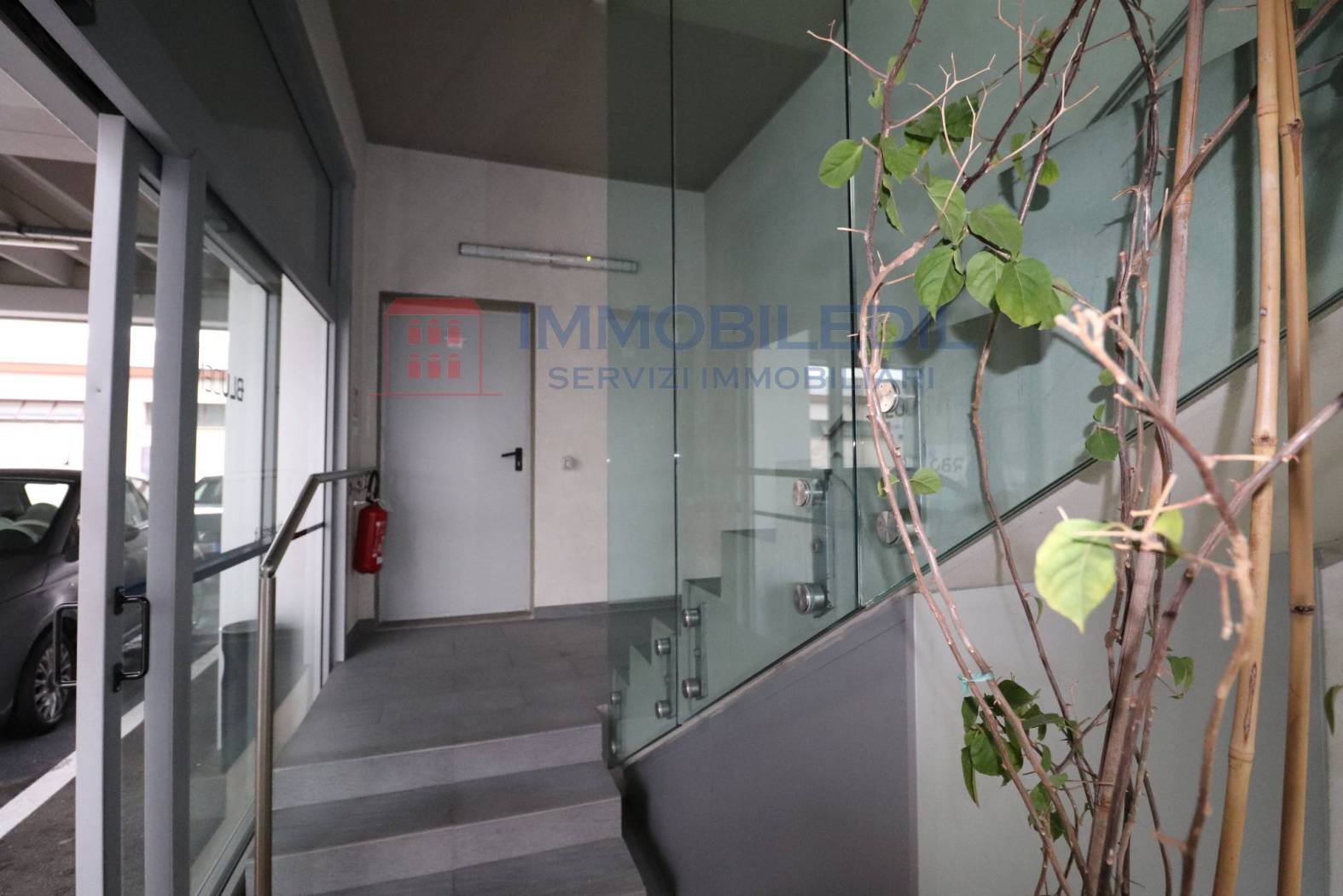Ingresso