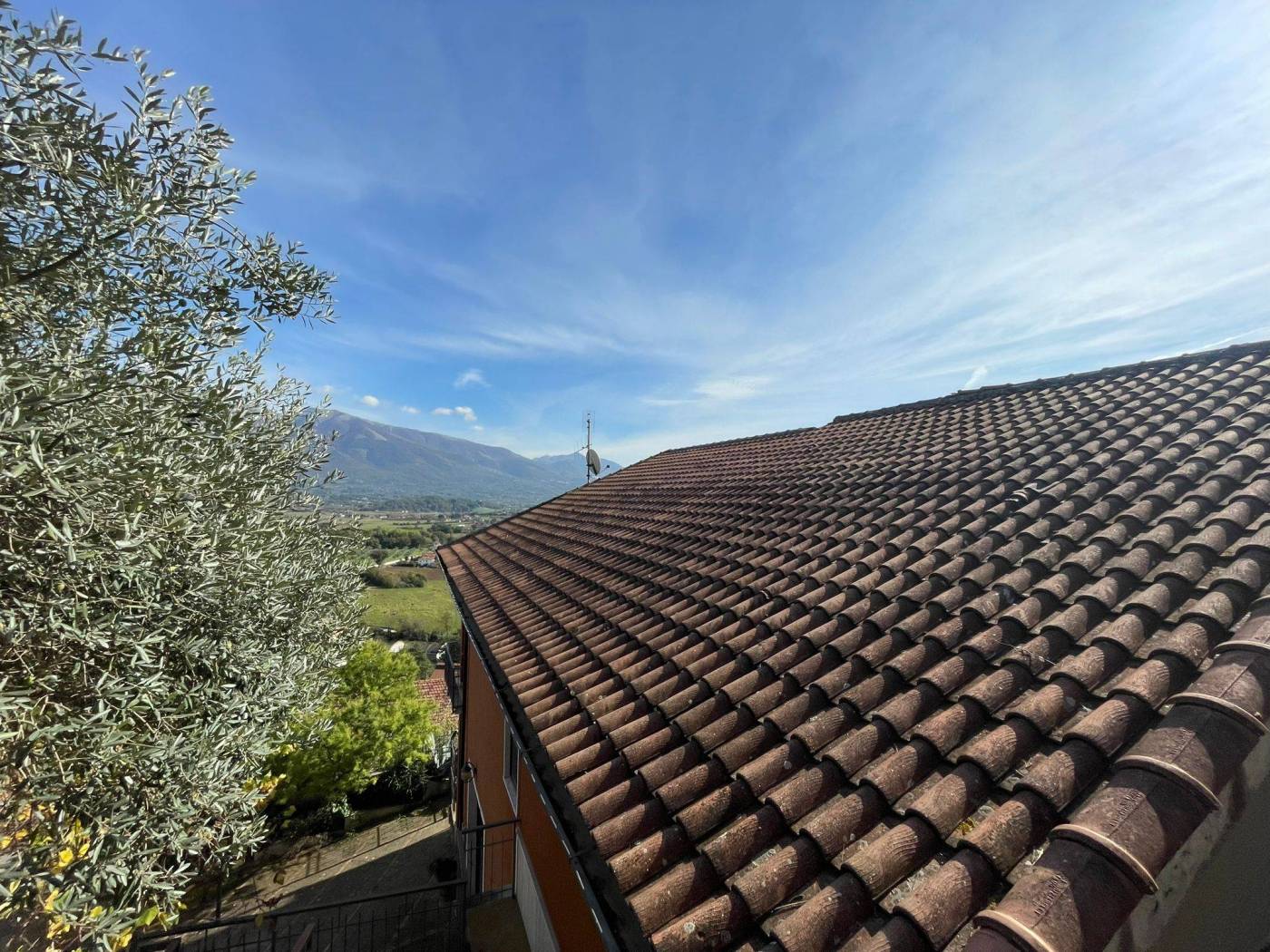 Vista
