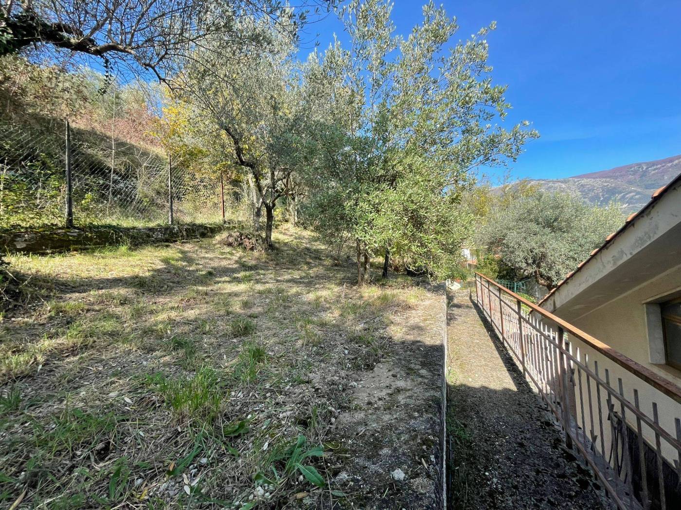 Terreno