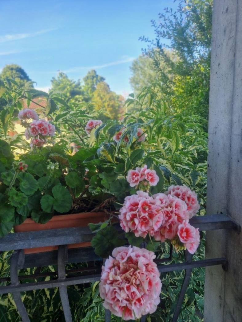 Balcone