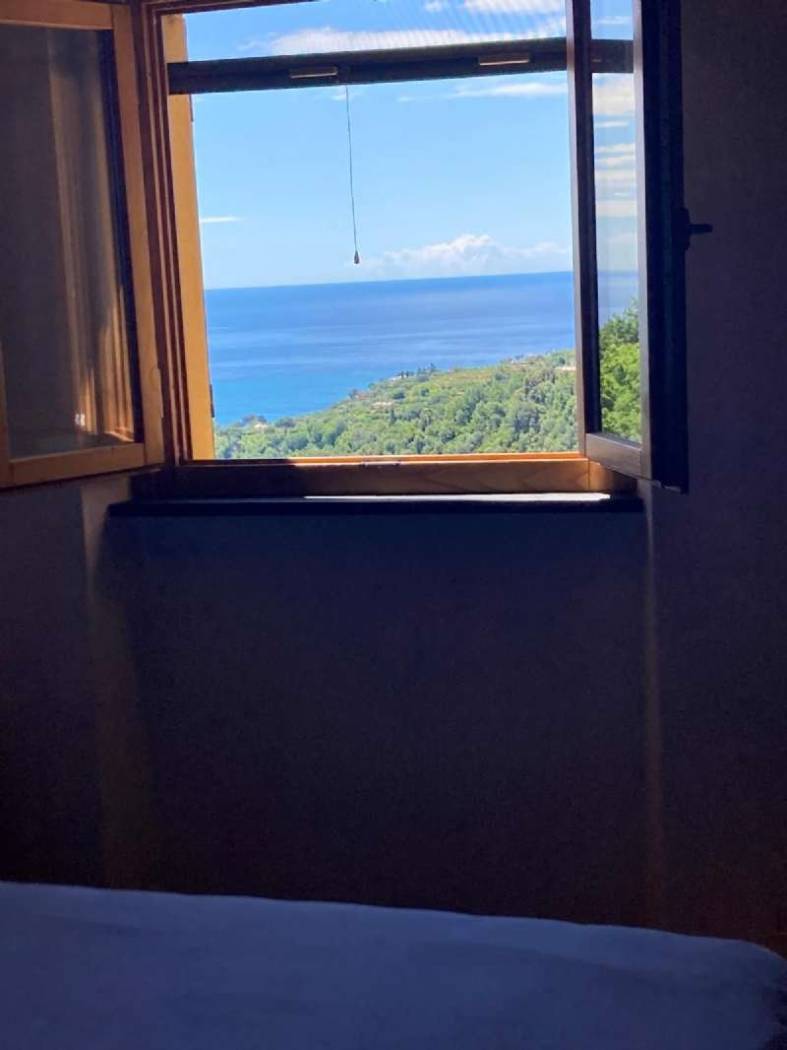 Vista