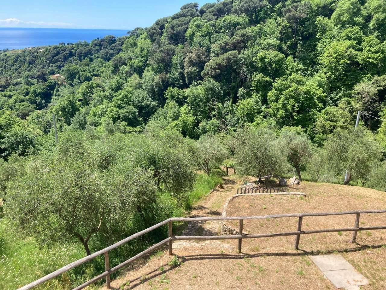 Vista