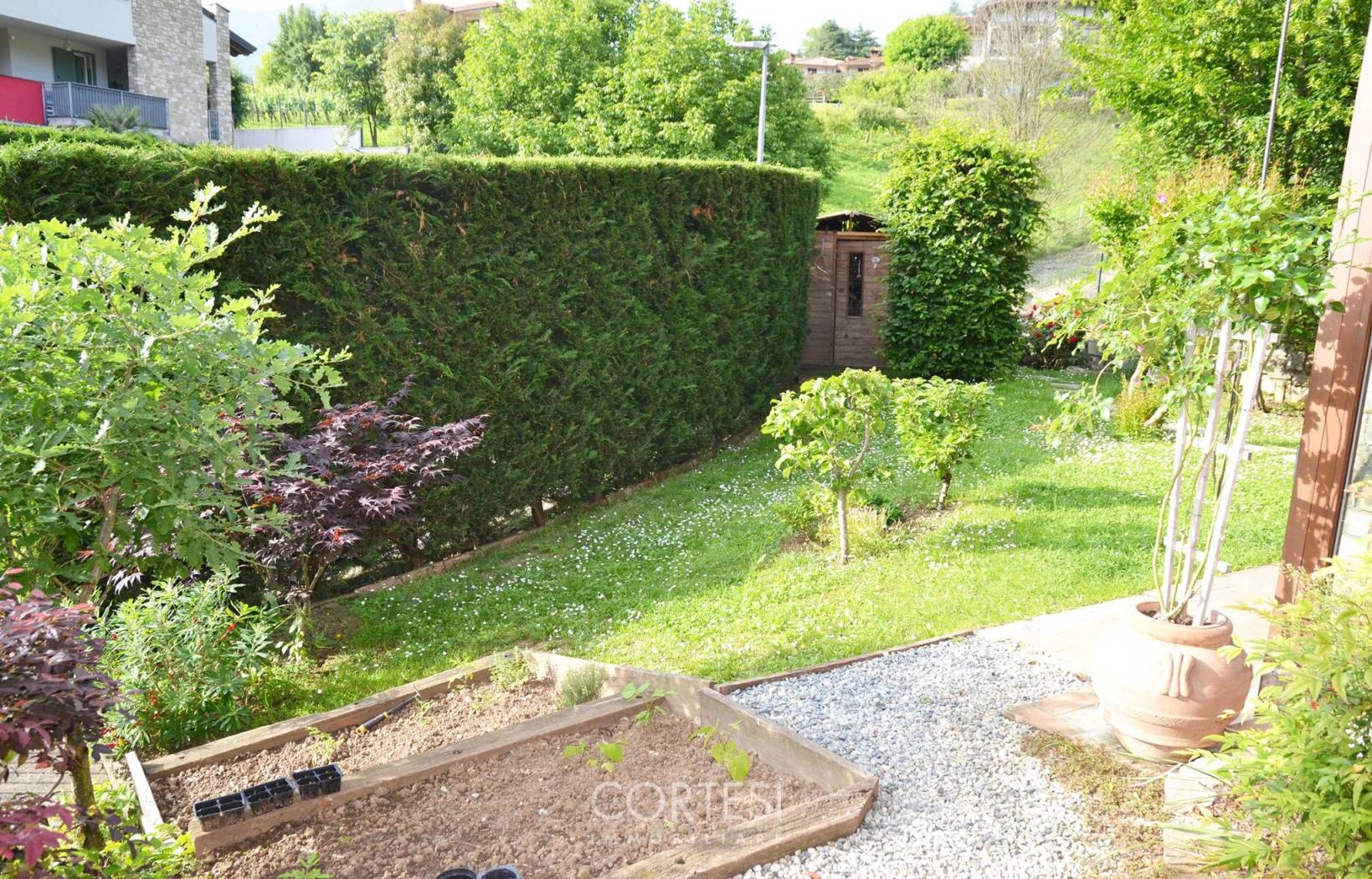 Giardino