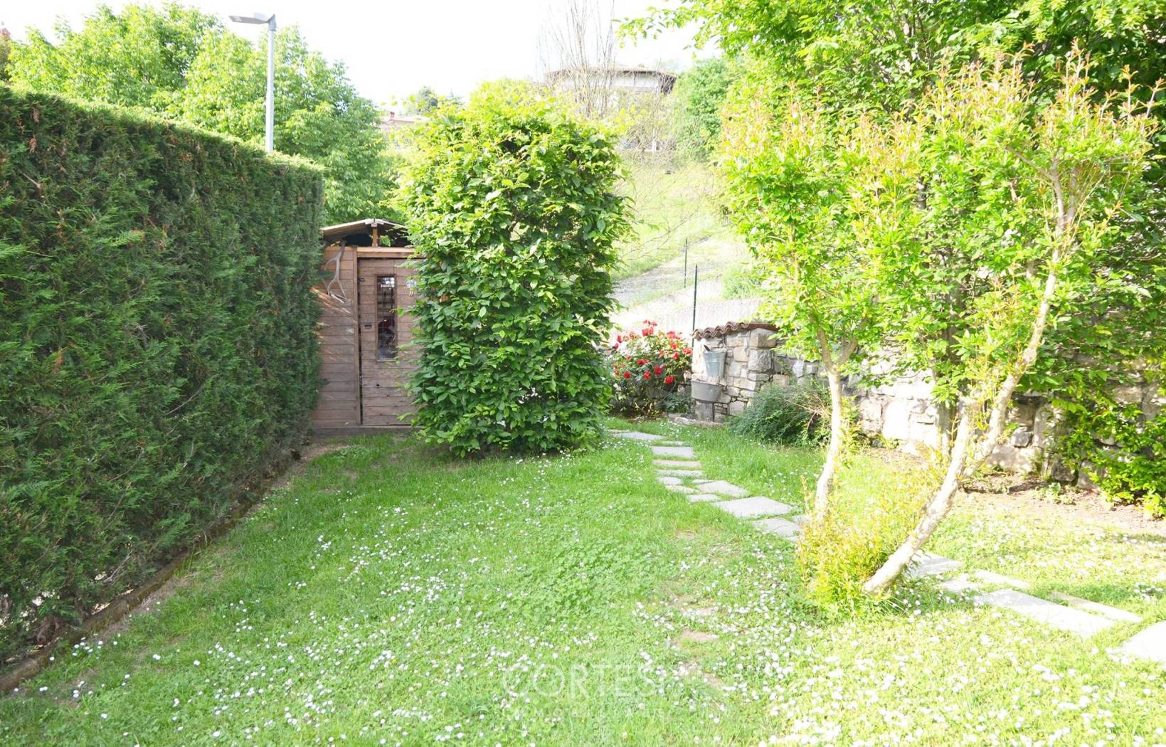 Giardino