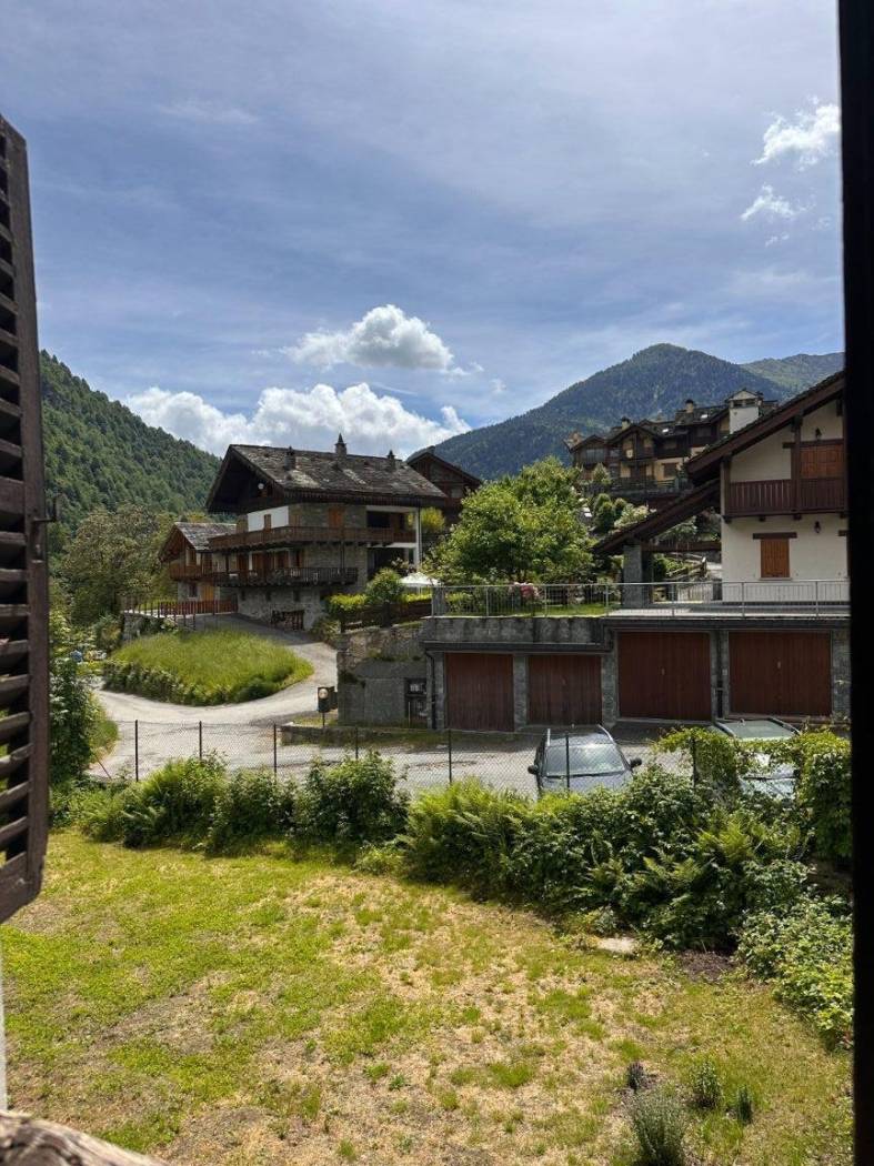 Vista