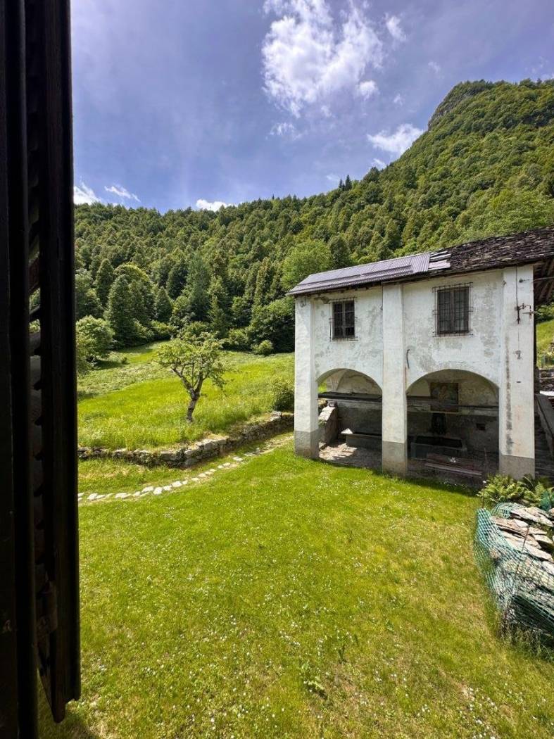 Vista