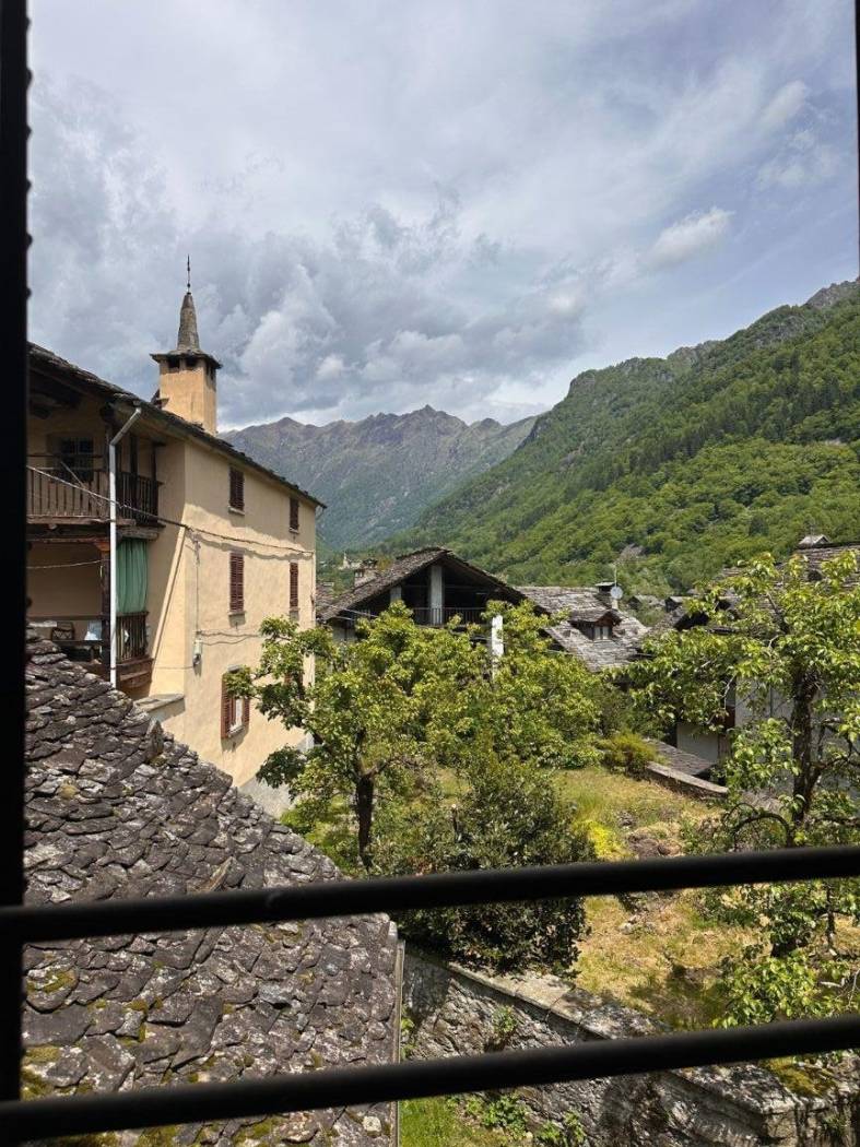 Vista