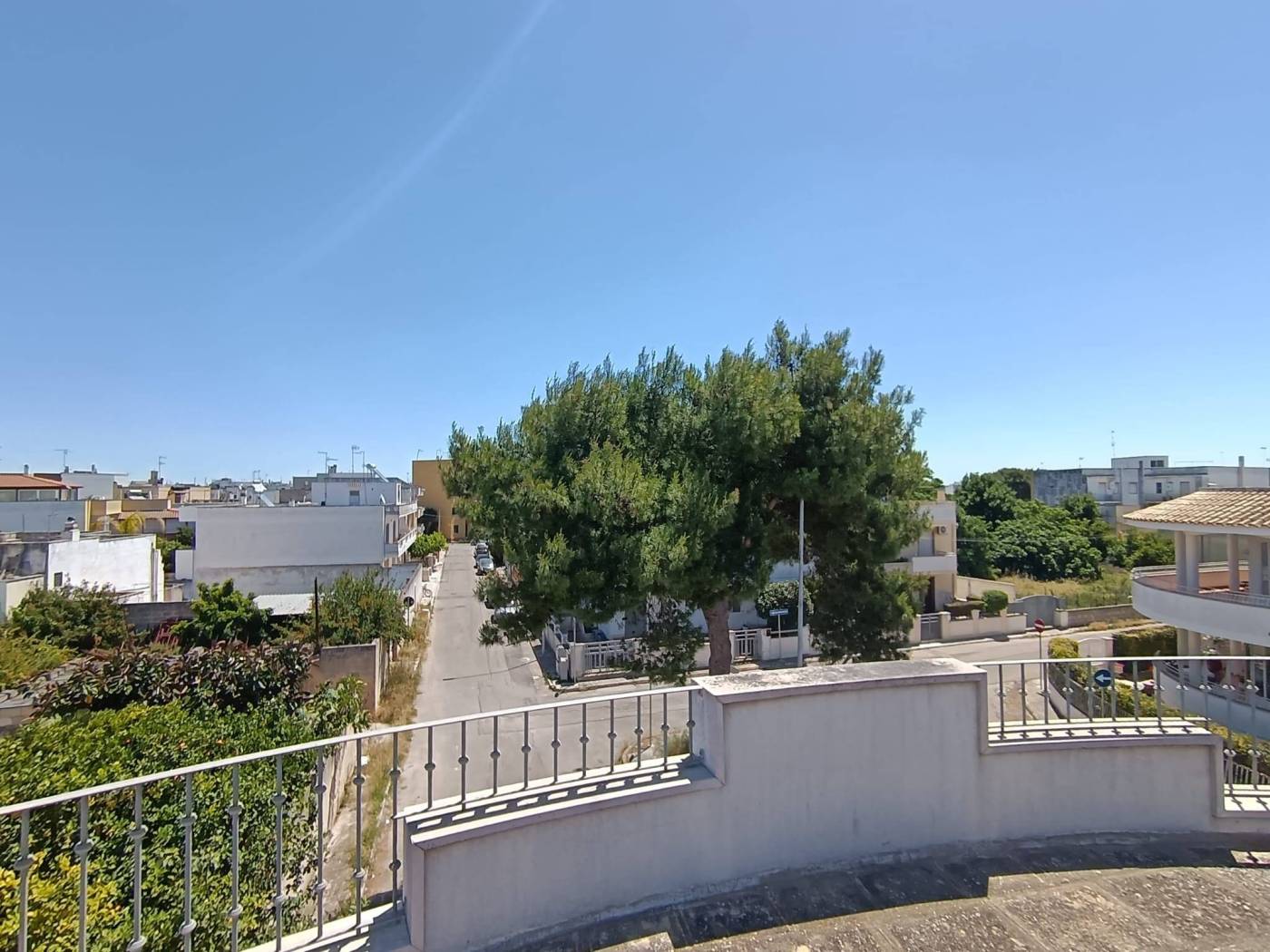 Vista