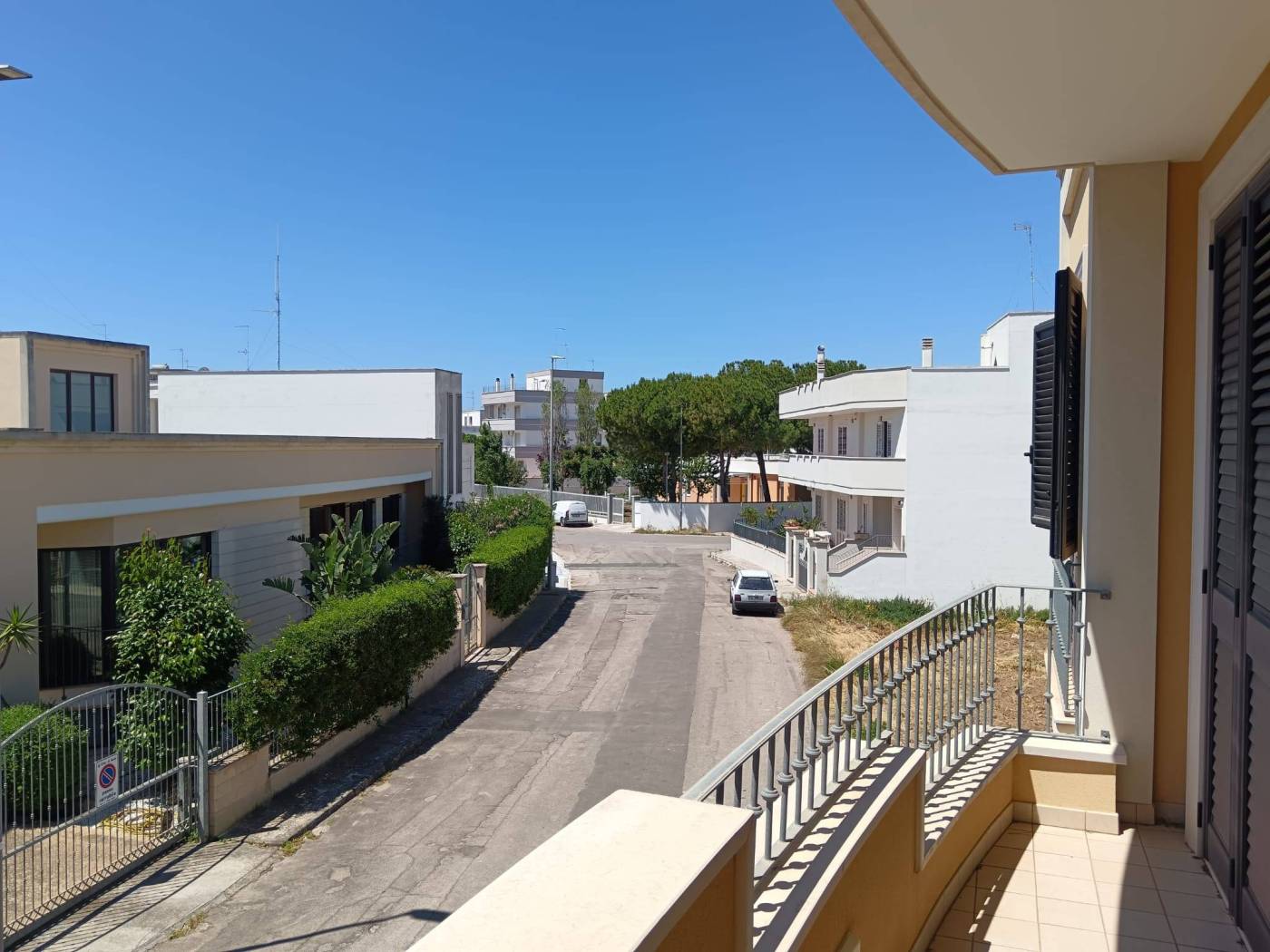 Vista