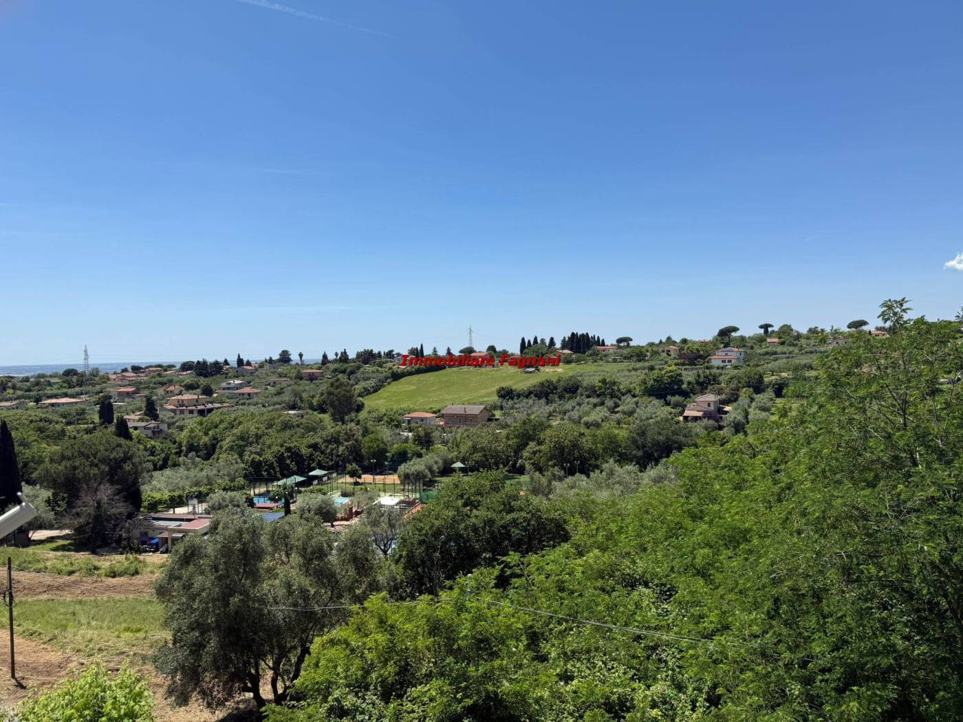 Vista