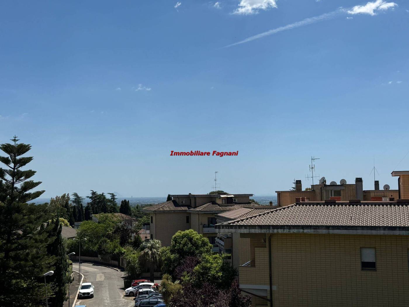 Vista
