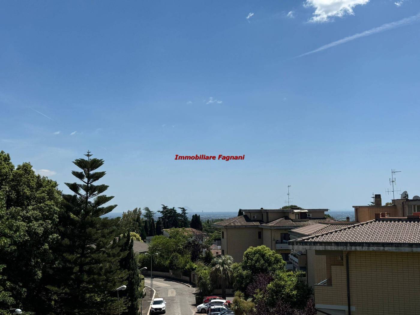 Vista
