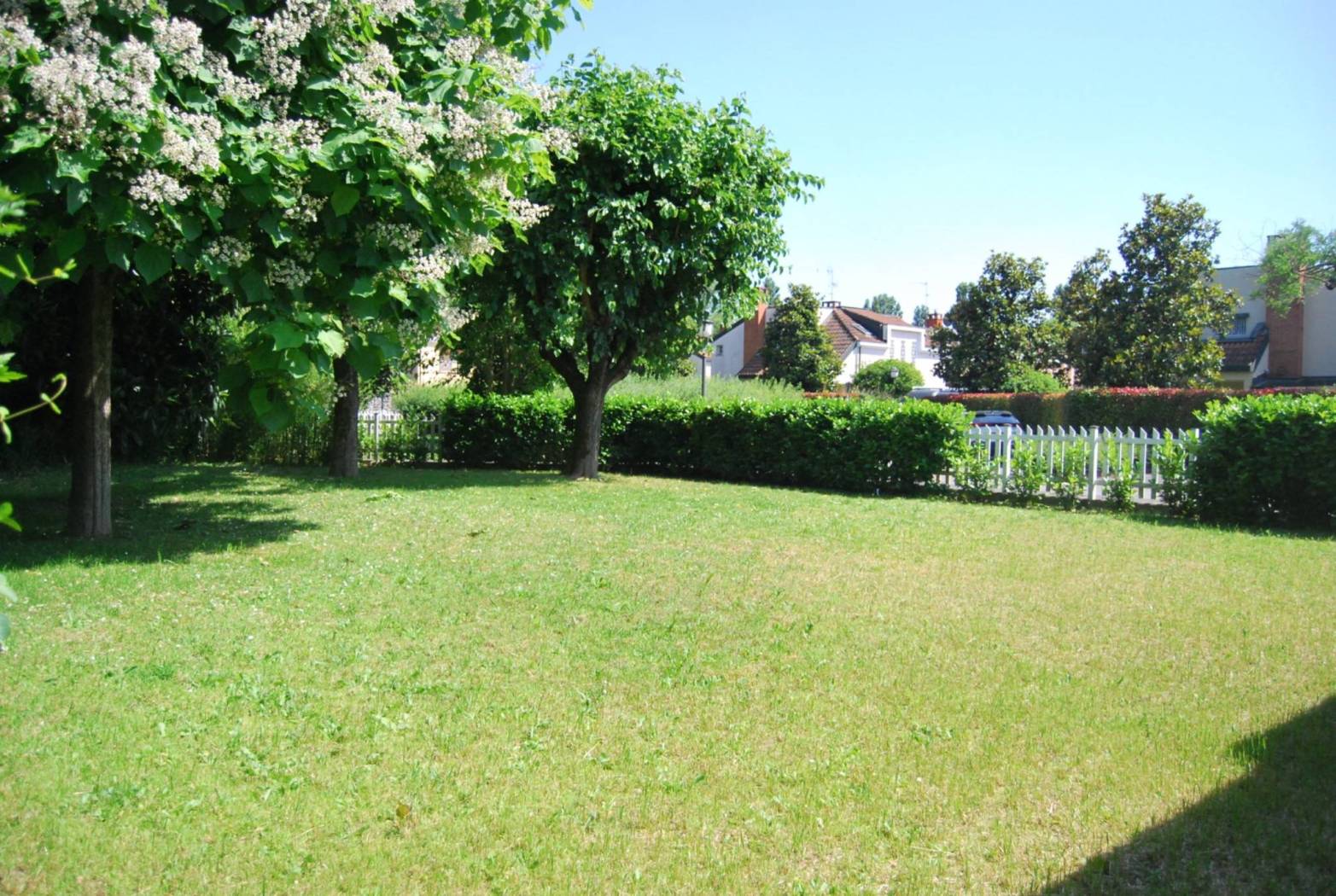 Giardino