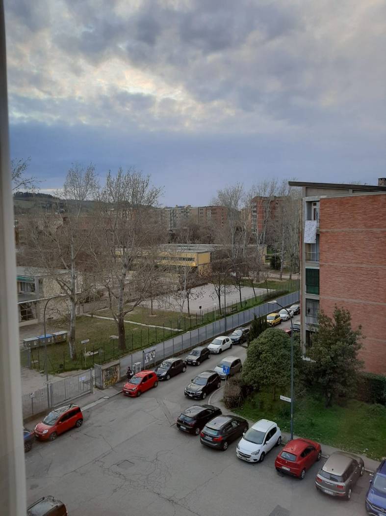 Vista