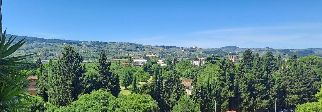 Vista