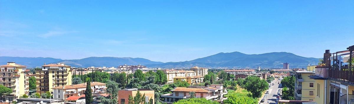 Vista