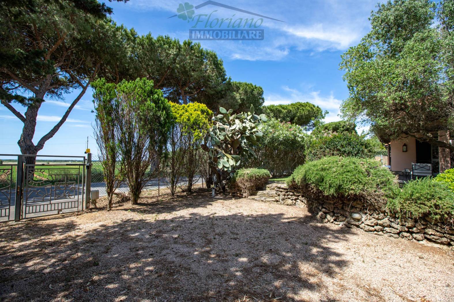 Giardino