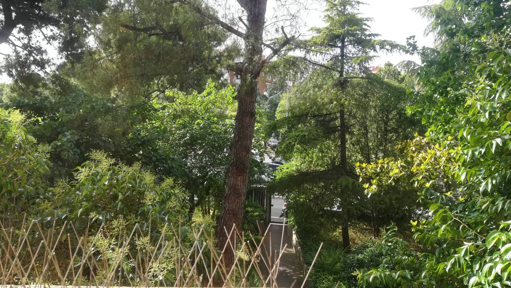 Terreno