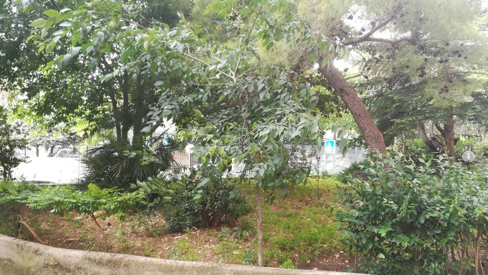 Terreno