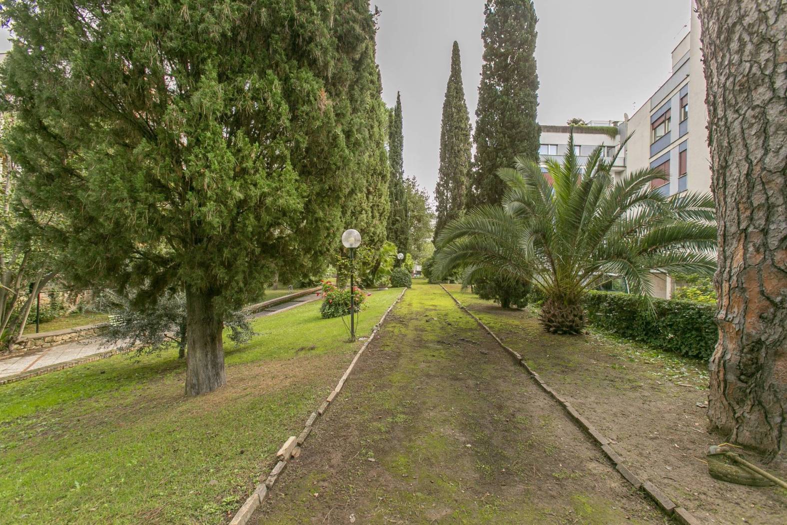Giardino