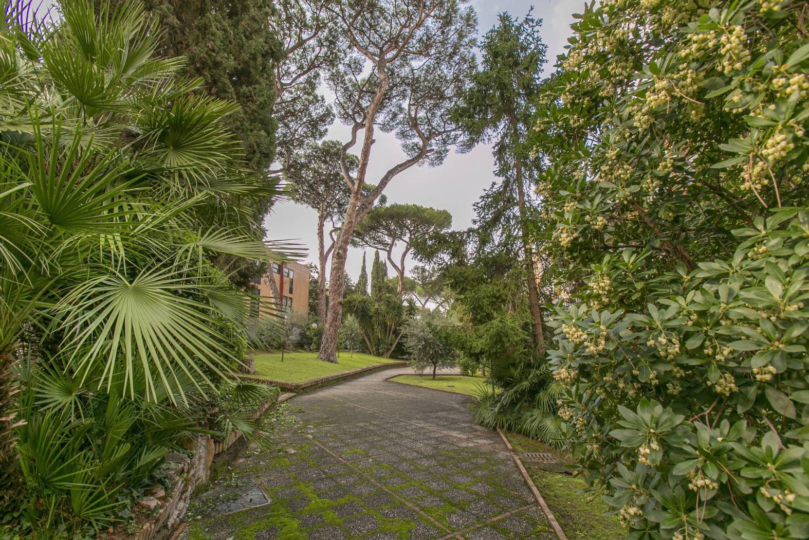 Giardino