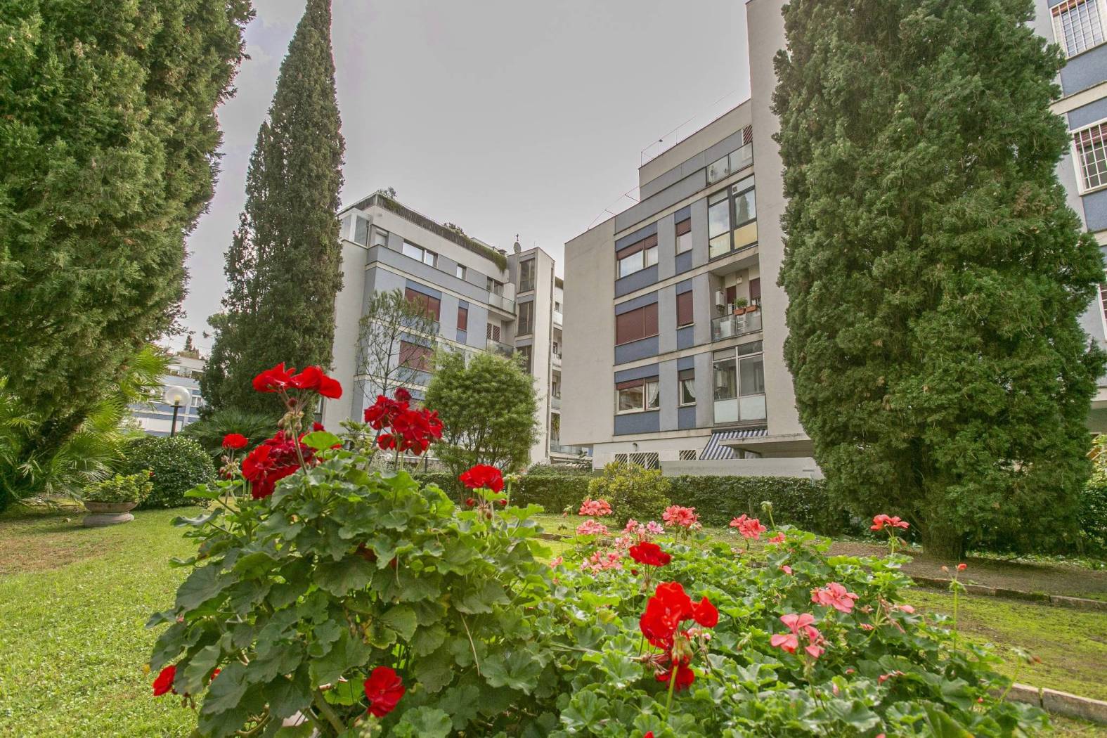 Giardino